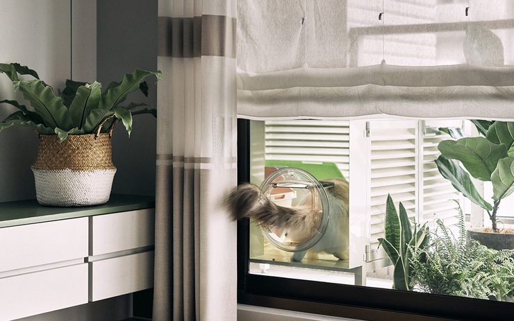 Apartment in Sunshine Golden River